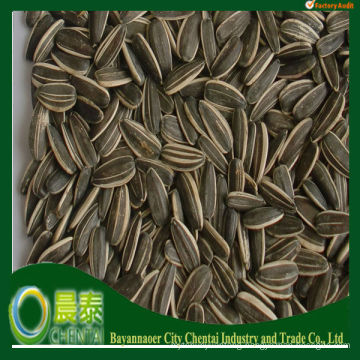 chocolate covered sunflower seeds From China